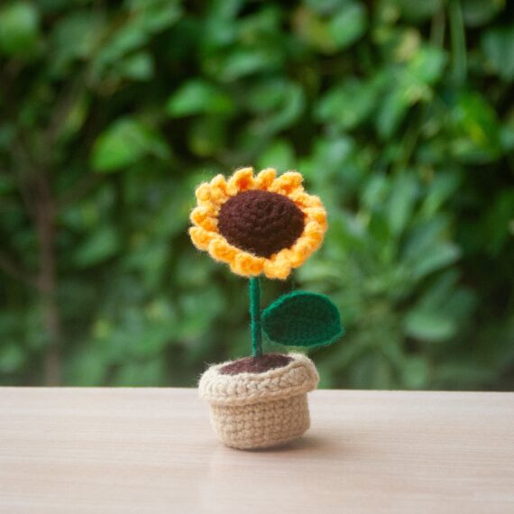 mini-sunflower