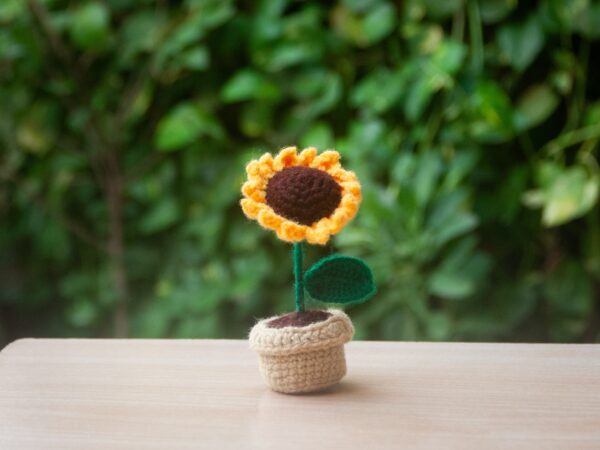 mini-sunflower