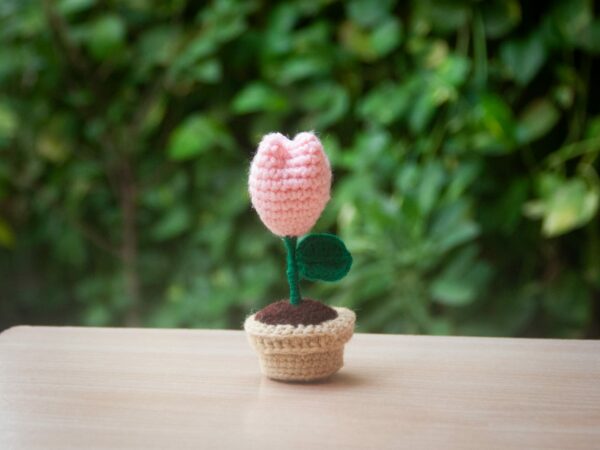 mini-tulip