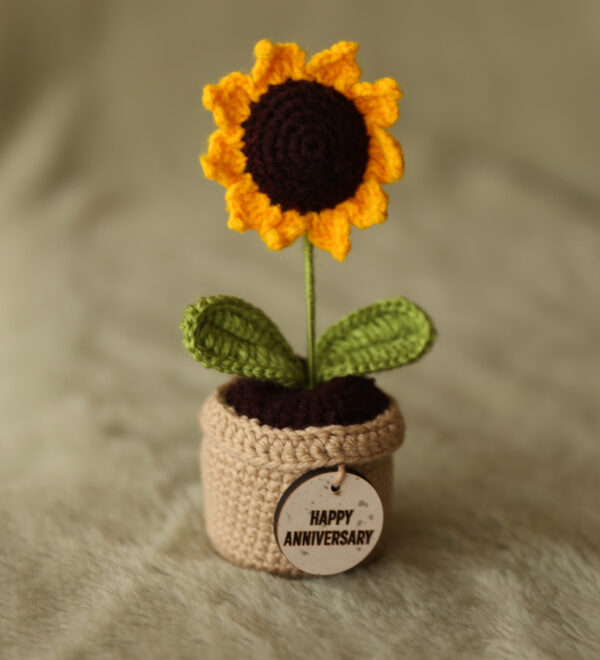 KC-Sunflower-Pot-Anniversary