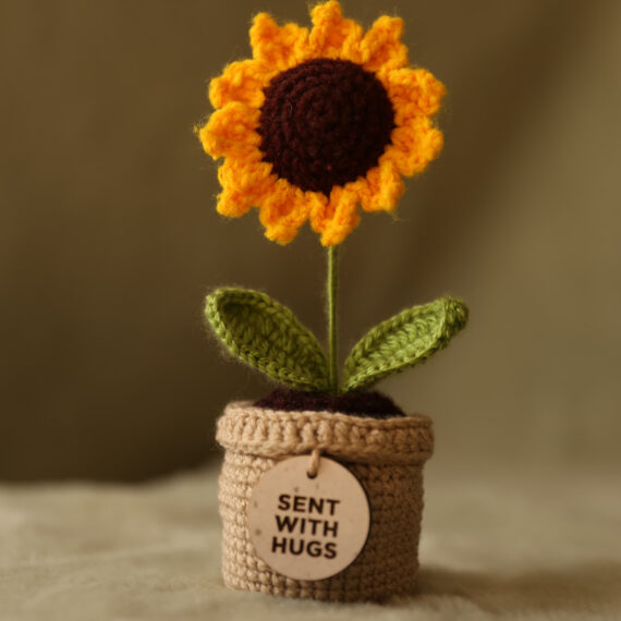KC-Sunflower-Pot-Hugs