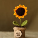 KC-Sunflower-Pot-Mummy